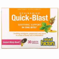 Natural Factors Echinamide Quick-Blast,Soothe Throat/Sinuses,Honey Lemon,30Liq-Gel Sft Chews