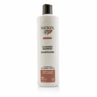 Nioxin Derma Purifying System 4 Cleanser Shampoo (Colored Hair, Progressed Thinning)
