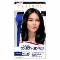 Clairol Nice 'N Easy 2 Black Permanent Root Touch-Up