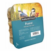Global Harvest Foods 109802 Peanut Wild Birds Suet Cake