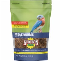 Audubon Park Mealworms Wild Bird Food