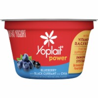 Yoplait® Power Blueberry with Black Currant and Chia Low Fat Yogurt Cup Perspective: Main