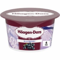 Haagen Dazs Blueberry Cultured Creame Yogurt