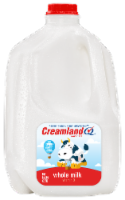 Creamland® Vitamin D Milk Perspective: Main