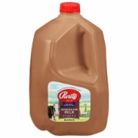 Purity™ Vitamin D Chocolate Milk Perspective: Main