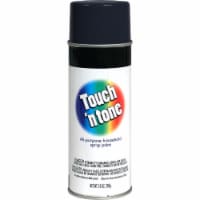 Rust-Oleum® Touch 'n Tone All-Purpose Household Spray Paint - Black Perspective: Main