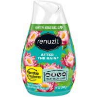 Renuzit® Adjustable After The Rain® Air Freshener Perspective: Main