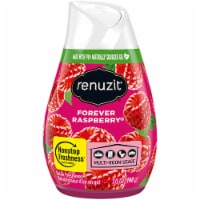 Renuzit® Forever Raspberry® Adjustable Fragrance Perspective: Main