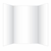 Royal Brites® Poster Board - White