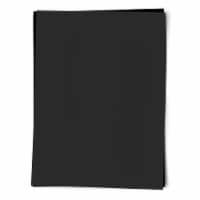 Royal Brites® Heavyweight Poster Board - Black