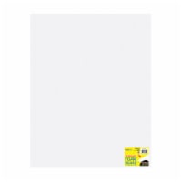 White Poster Board 22x28 Royal Brites