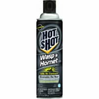 Hot Shot Wasp & Hornet Killer, Aerosol Spray Perspective: Main