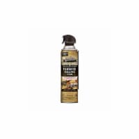 Spectracide Termite Killing Foam,Aerosol,16 oz 53370