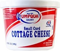Umpqua Dairy Small Curd Cottage Cheese Perspective: front