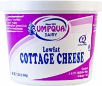 Umpqua Dairy Low Fat Cottage Cheese Perspective: front