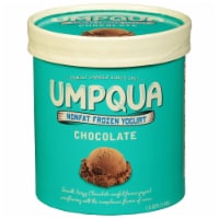 Umpqua Fat Free Chocolate Frozen Yogurt Tub