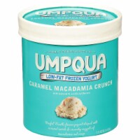 Umpqua Caramel Macadamia Nut Nonfat Frozen Yogurt