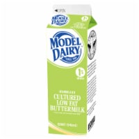 Model Dairy Buttermilk Perspective: Main