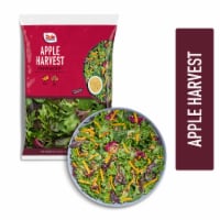 Dole Apple Harvest Premium Kit 1 ea Perspective: Main
