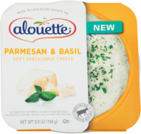 Alouette Parmesan & Basil Soft Spreadable Cheese Perspective: Main