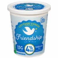 Friendship Dairies® Small Curd 4% Milkfat Cottage Cheese Perspective: Main