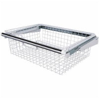 Sliding Basket Perspective: Main