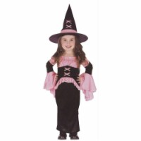 Costumes For All Occasions Fw112761T Witch Pretty Pink Toddler Larg