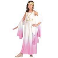 Costumes For All Occasions FW120902LG Athenus Ombre Child 12-14 - Pink Perspective: Main