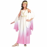 Costumes For All Occasions FW120902LG Athenus Ombre Child 12-14 - Pink Perspective: Main