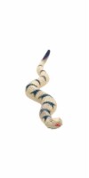 Fun World Squishy Snake - Black/Tan Perspective: Main