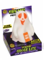 Fun World Pumpkin Pro Prelit Pumpkin/Ghost Torch Halloween Decor - Case Of: 12; Perspective: Main