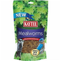 Kaytee Mealworm Perspective: Main