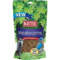 Kaytee Mealworm Perspective: Main