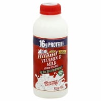 Hiland Dairy Vitamin D Milk Perspective: Main