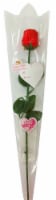 Albert's Belgian Milk Chocolate Rose Valentine's Day Candy Package Perspective: Main