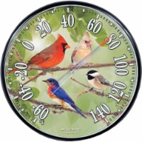 Acurite 12-1/2  Dia Plastic Dial Songbird Indoor & Outdoor Thermometer 01781