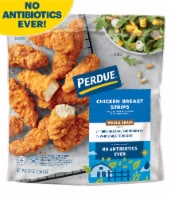 Perdue Frozen Fully Cooked Breaded Whole Grain Chicken Breast Strips Perspective: Main