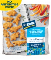 Perdue® Panko Breaded Dino Nuggets