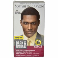 Softsheen-Carson Dark & Natural 5 Minute Shampoo-in Permanent Hair Color Jet Black Perspective: Main