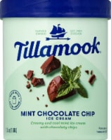 Tillamook Mint Chocolate Chip Ice Cream Perspective: Main