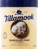 Tillamook Chocolate Chip Ice Cream Perspective: Main