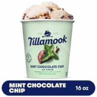 Tillamook Mint Chocolate Chip Ice Cream Perspective: Main