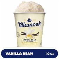 Tillamook Vanilla Bean Ice Cream Perspective: Main