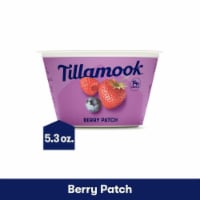 Tillamook Old Fashioned Vanilla 2% Greek Yogurt, Blended, 5.3 oz