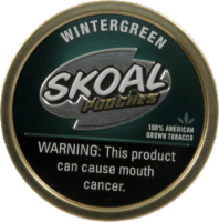 Skoal Pouches Wintergreen Chewing Tobacco