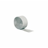 Creative Converting Everyday Party Streamer - Shimmering Silver Perspective: Main