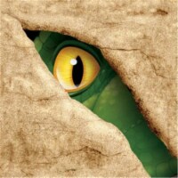 Creative Converting Dino Blast Beverage Napkin Perspective: Main