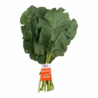 Foxy Organic BroccoLeaf Greens Perspective: Main