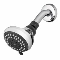 Waterpik EcoFlow Chrome 4 settings Showerhead 1.6 gpm - Total Qty: 1
