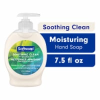 Softsoap Liquid Hand Soap Pump Soothing Aloe Vera